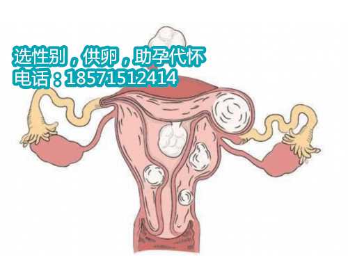 上海哪里找供卵试管妇女_因IKBKG基因外显子4-10缺失，新生女婴患色素失禁症